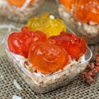 Boozy Pumpkin Gummies