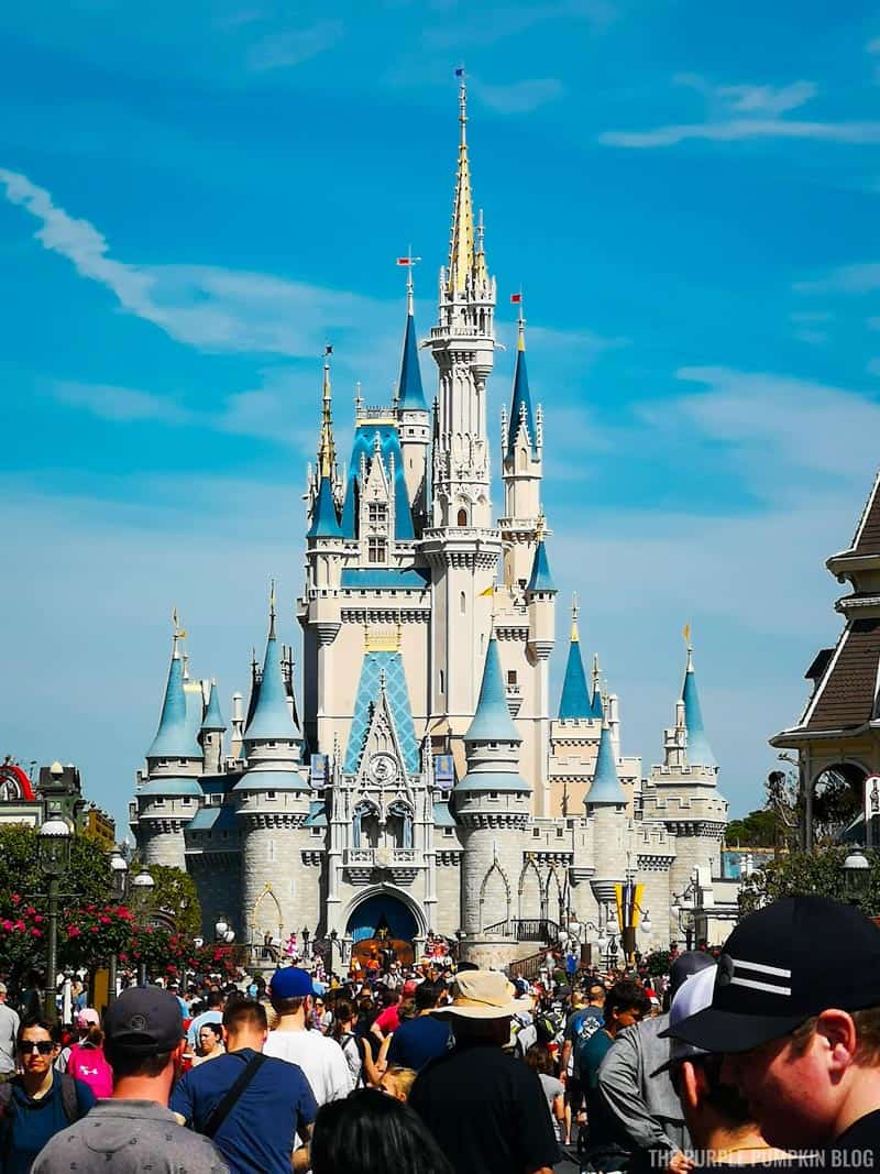 Cinderella Castle - Magic Kingdom