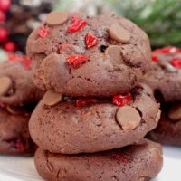 Black Forest Cookies Recipe