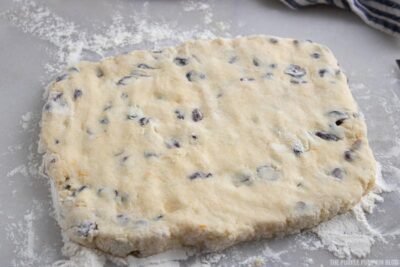 Rolled Cranberry Orange Scone Dough
