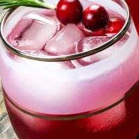 Cranberry Vodka Spritzer Cocktail