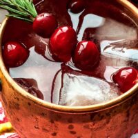 Recipe for Cranberry Moscow Mule Cocktail