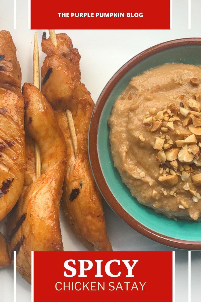 Spicy Chicken Satay