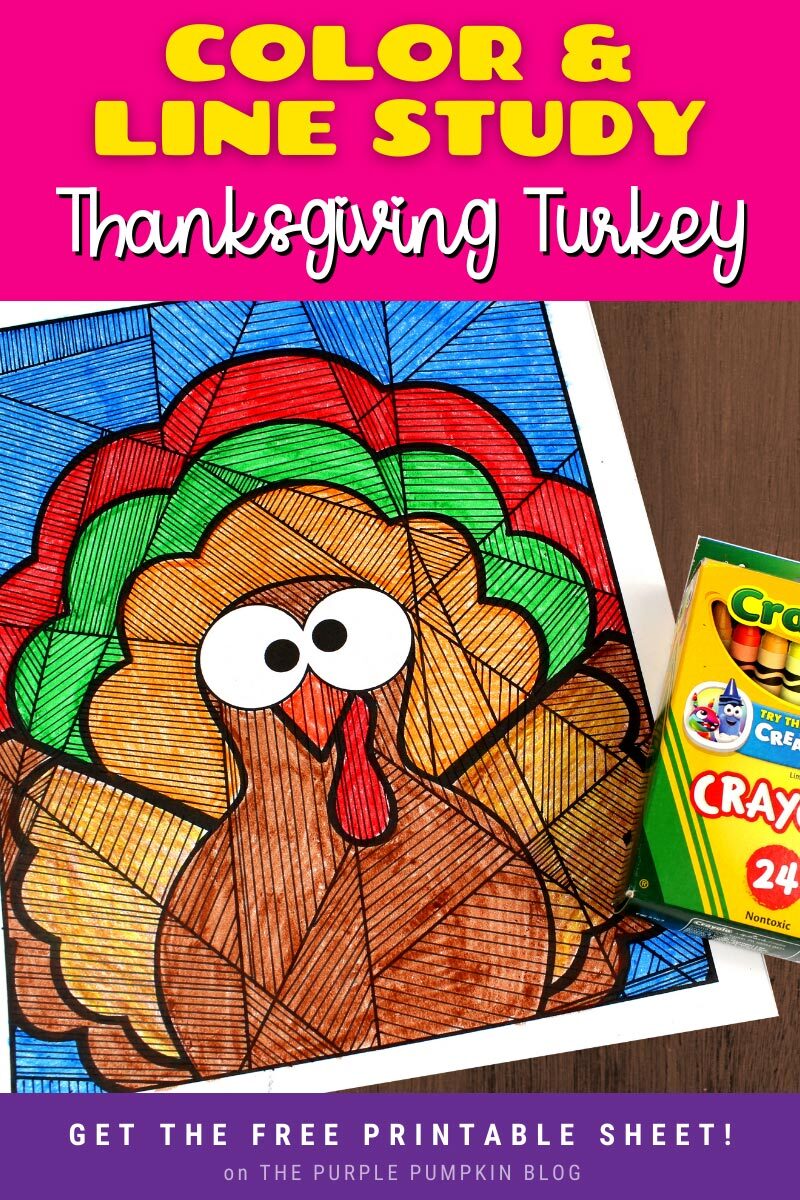 Thanksgiving Turkey Color & Line Study