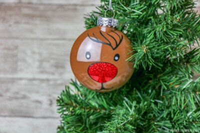 Finished Reindeer Ornament