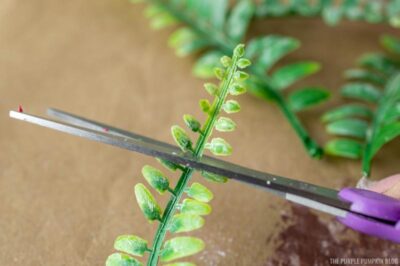 Cutting Off Leaves