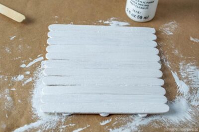 Painting Sticks White