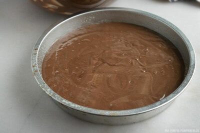 Cake Batter in Pan