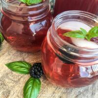 Blackberry Iced Tea Recipe