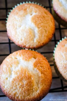 Cooked Cupcakes