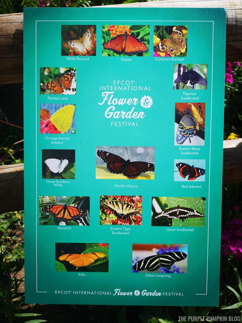 Butterfly House Sign - Epcot International Flower & Garden Festival