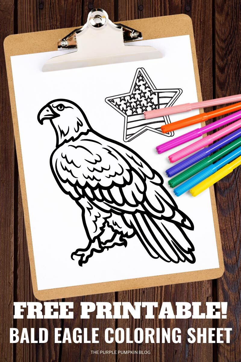 Free Printable Bald Eagle Coloring Sheet