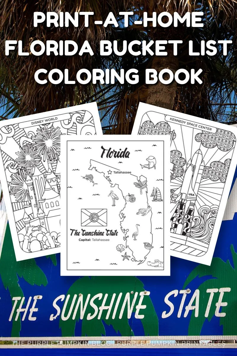 Free Walt Disney World Cinderella Castle Coloring Page Printable