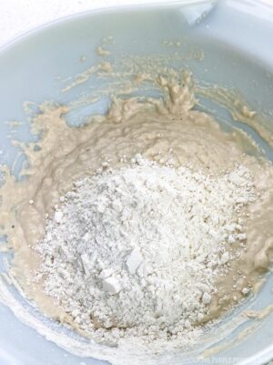 Step 3 - Adding Flour to Dough