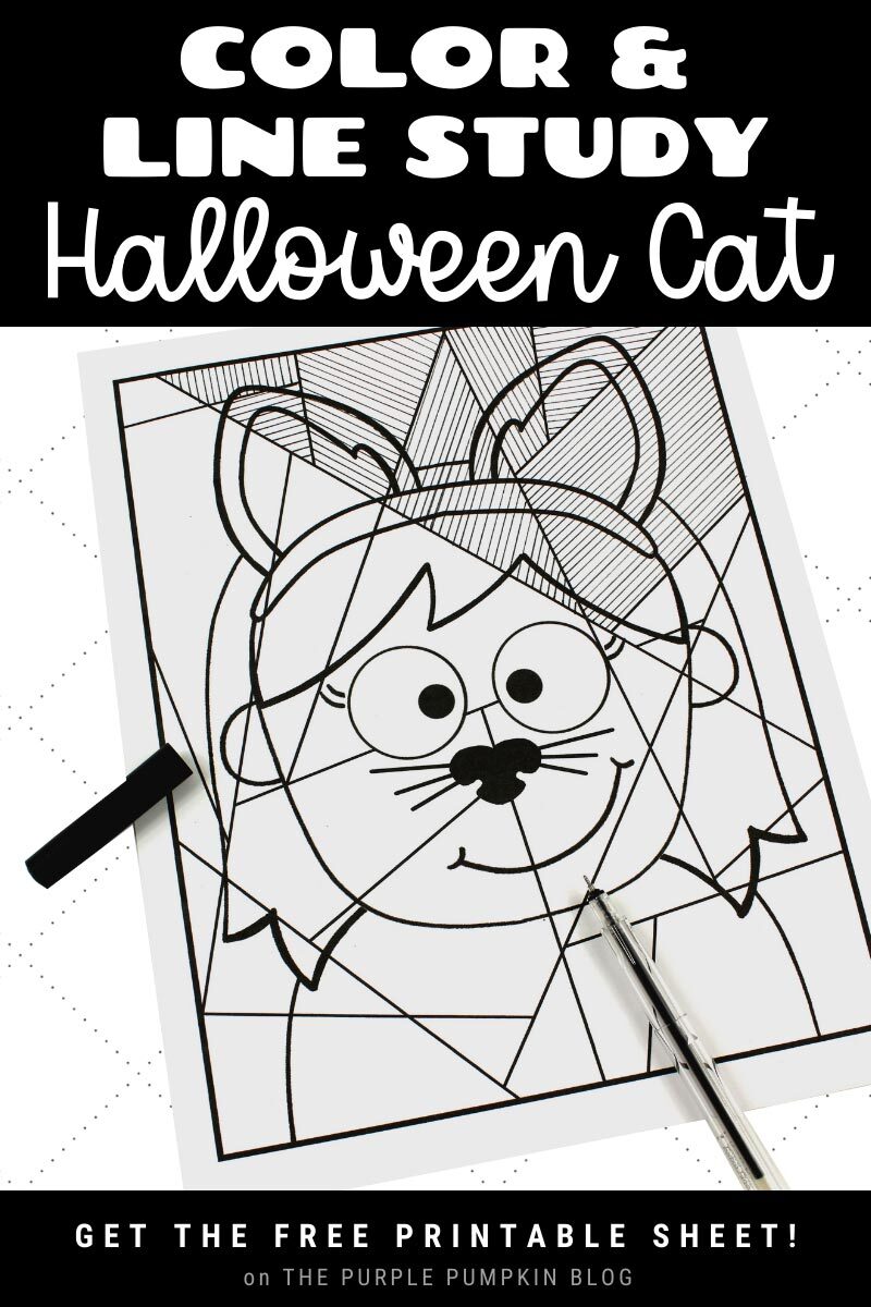 Color & Line Study Halloween Cat