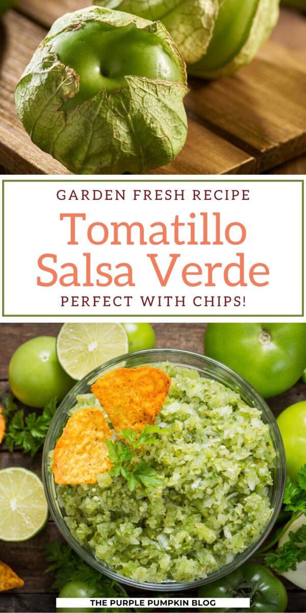 Garden Fresh Recipe! Tomatillo Salsa Verde