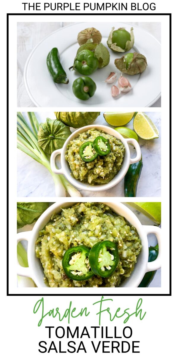Garden Fresh Tomatillo Salsa Verde
