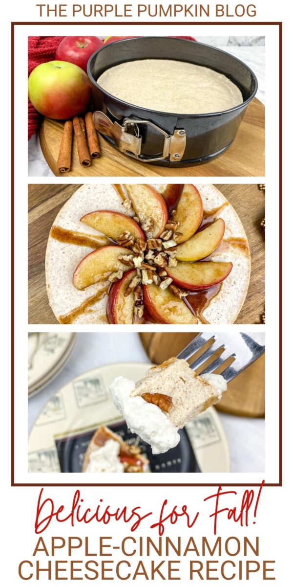 Apple-Cinnamon Cheesecake Recipe (Delicious for Fall!)