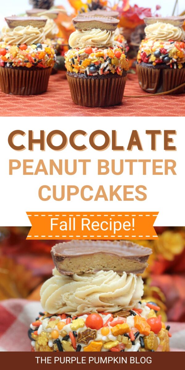 Chocolate Peanut Butter Cupcakes (Fall Recipe!)