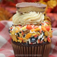 Chocolate Peanut Butter Cupcakes Recipe