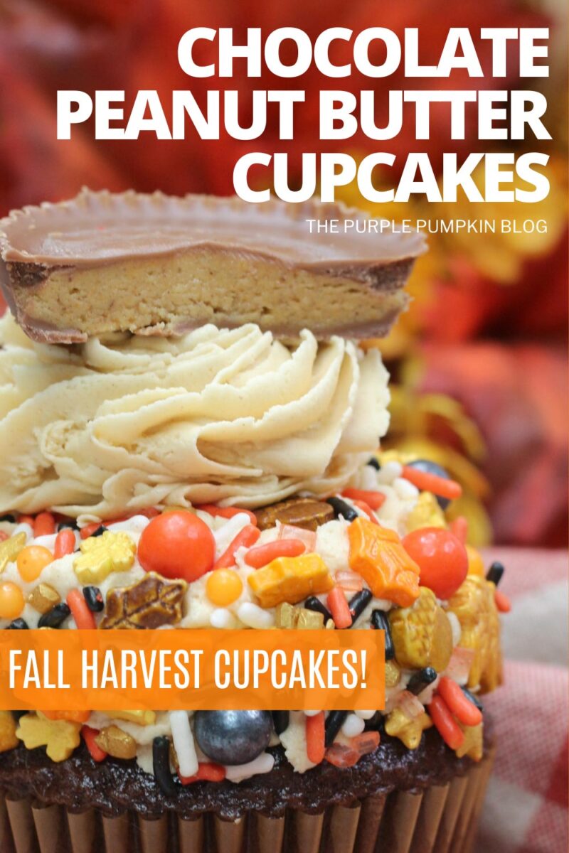 Fall Harvest Chocolate Peanut Butter Cupcakes