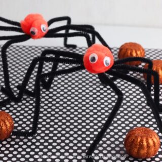How to Make Long Legged Spiders with Pipe Cleaners!