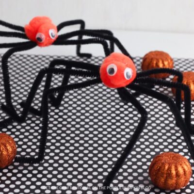 How to Make Long Legged Spiders with Pipe Cleaners!