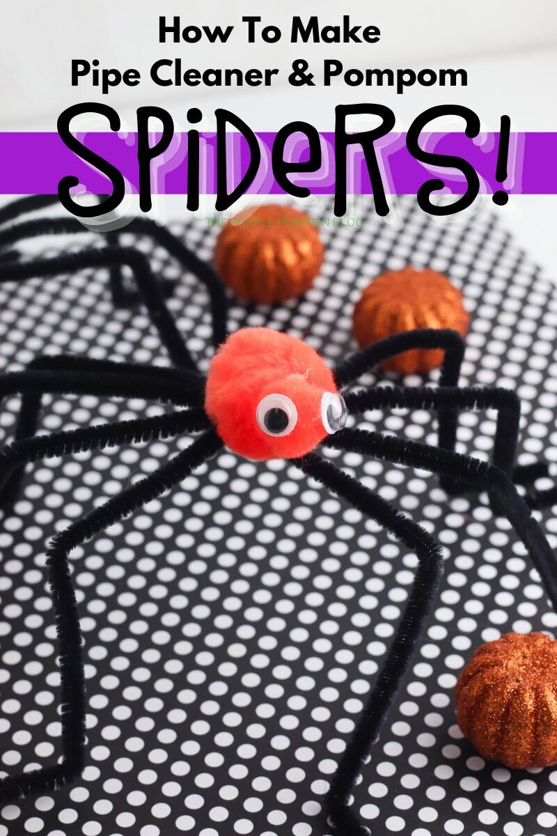 How to Make Pipe Cleaner & Pompom Spiders