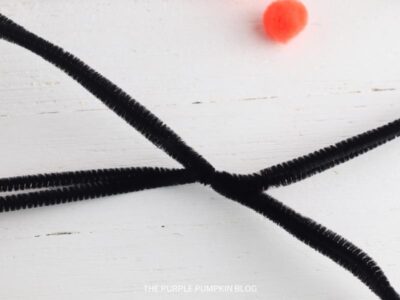 Twisting the Pipe Cleaners