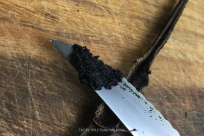 Vanilla Bean Seeds