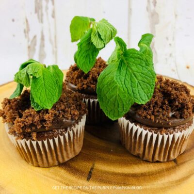 How To Make Plant Seedling Cupcakes for Earth Day