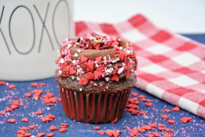 Chocolate Frosted Cupcake with Sprinkles