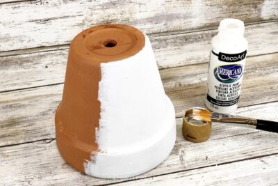 Painting Flowerpot White