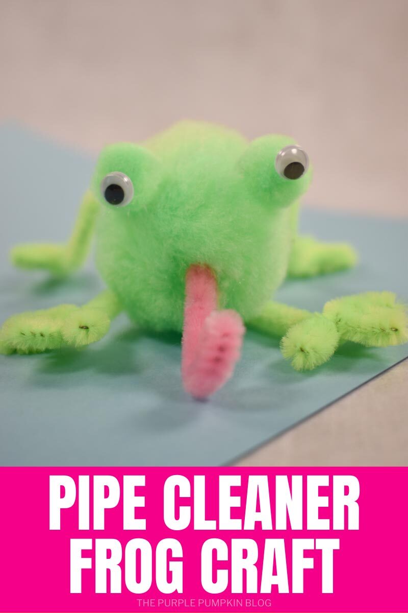 Pipe Cleaner Frog Craft
