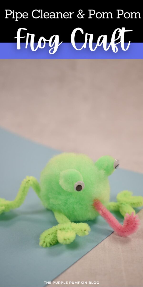 Pipe Cleaner and Pom Pom Frog Craft