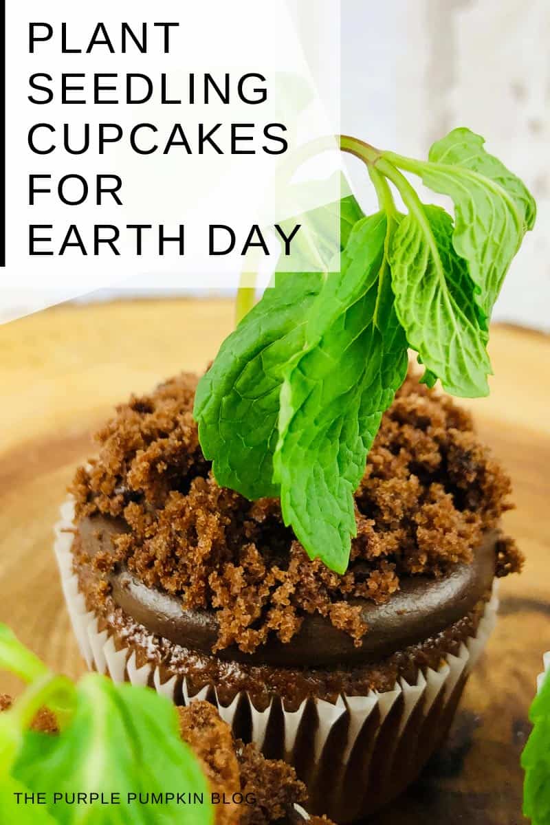 Plant-Seedling-Cupcakes-for-Earth-Day
