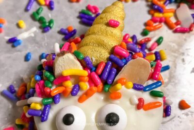 Rainbow Sprinkles and Unicorn Decorations