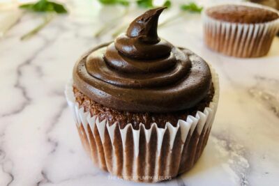 Chocolate Frosting on Cupcake