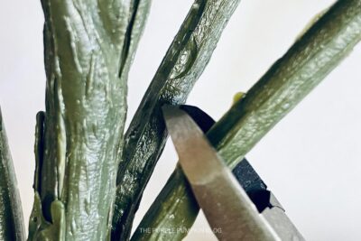 Cutting The Palms