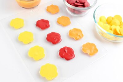 Filled Paw Print Mold