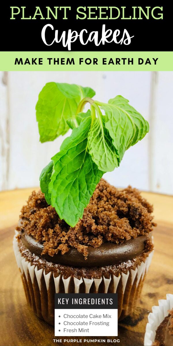 Key Ingredients for Plant Seedling Cupcakes