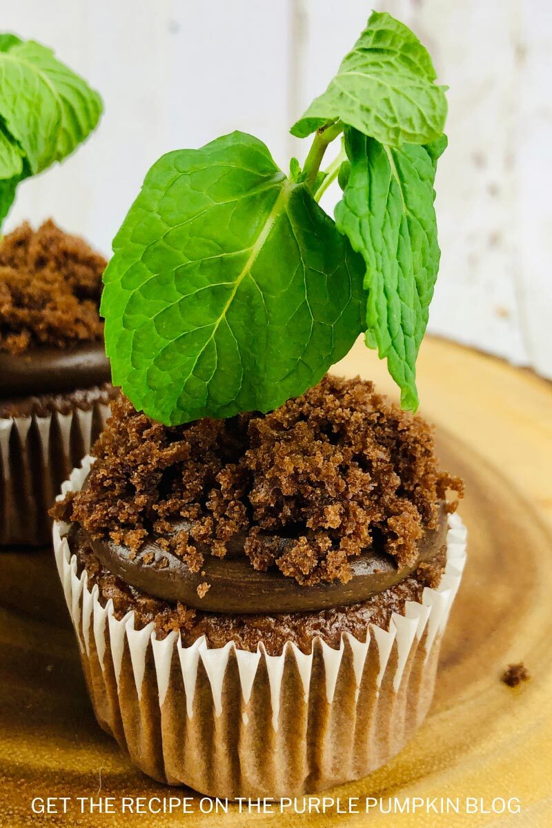 Recipe for Earth Day Plant Cupcakes