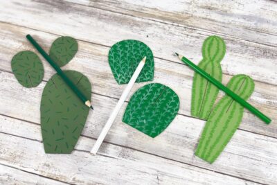 Drawing Detail on Cactus