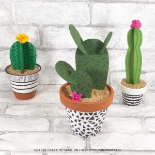 How To Make Cardboard Cactus Plants