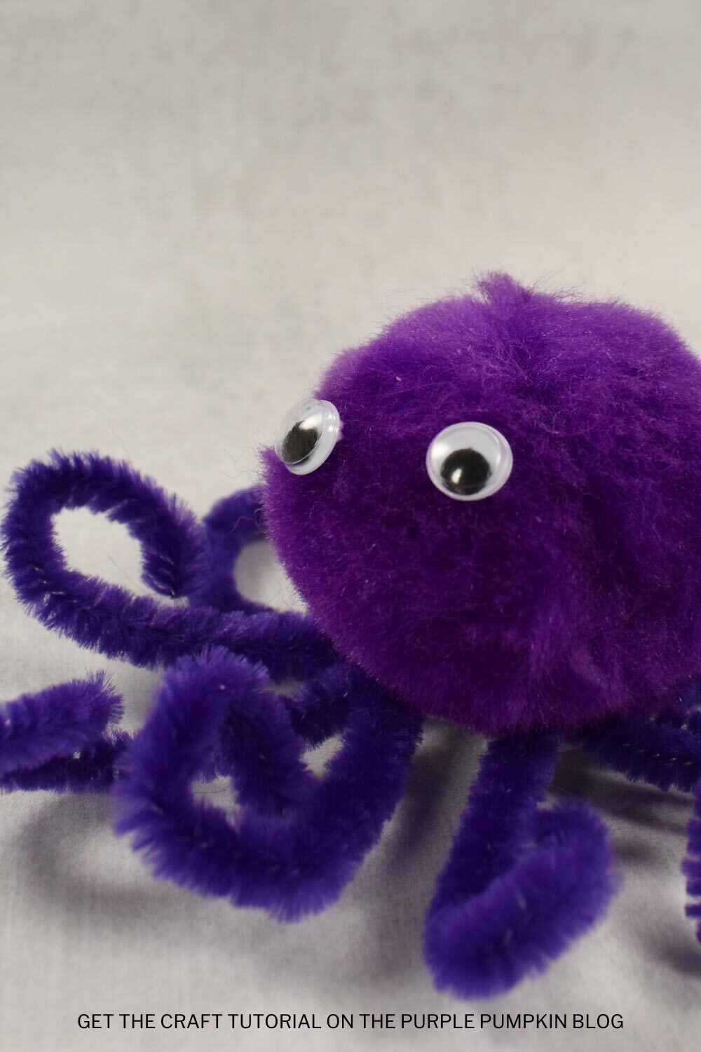 Pompom Octopus with Pipe Cleaner Tentacles Craft