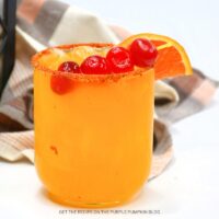 Mediterranean Journey Spiced Cocktail Recipe