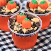 Pumpkin Patch Jello Cups Recipe