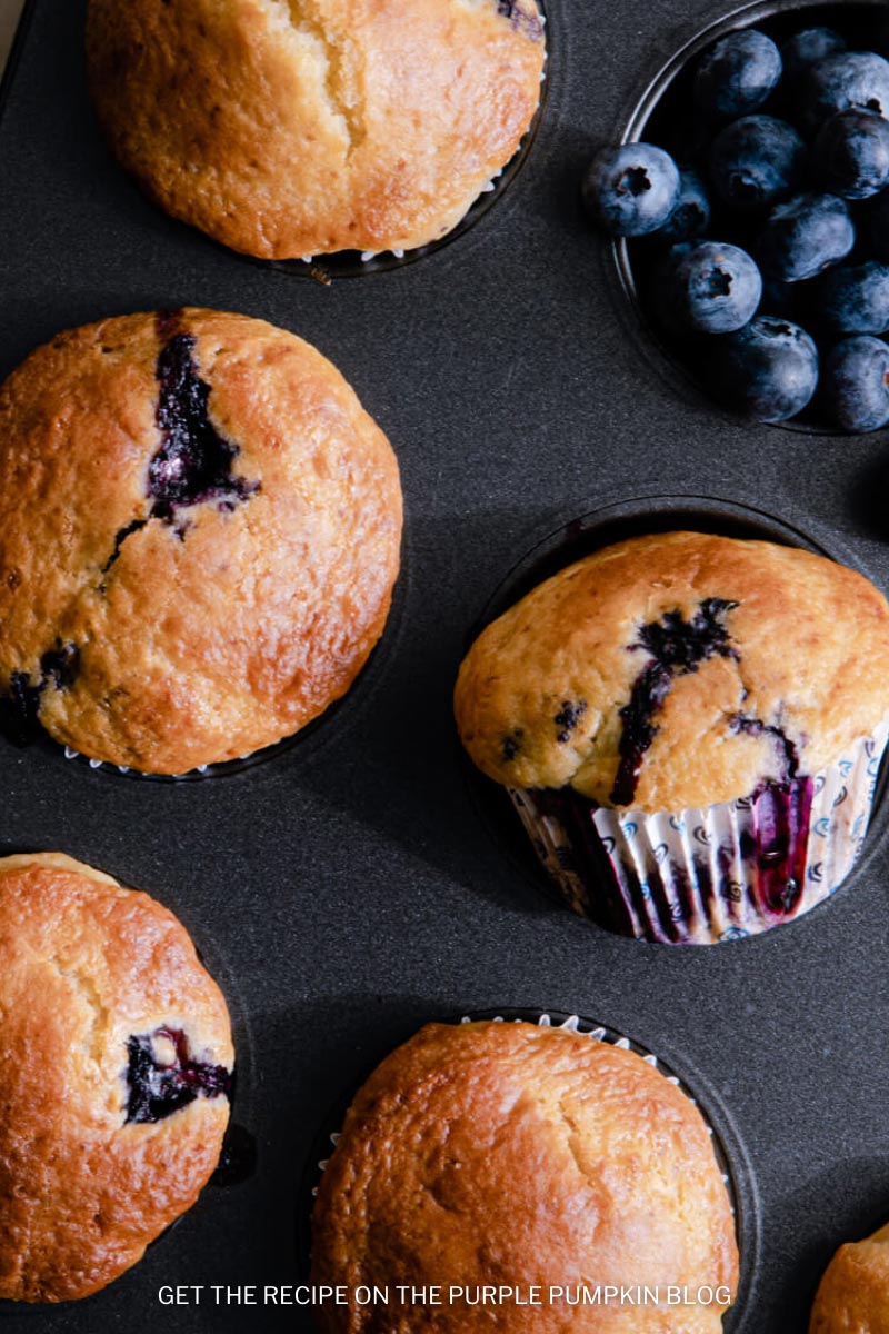 Baking Recipe for Blueberry Lemon Muffins
