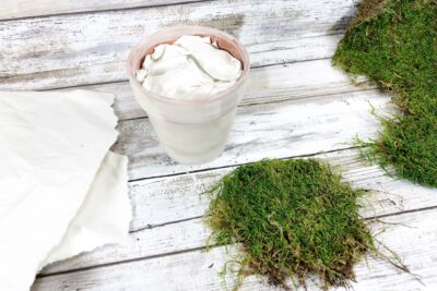 Adding Moss to Pot