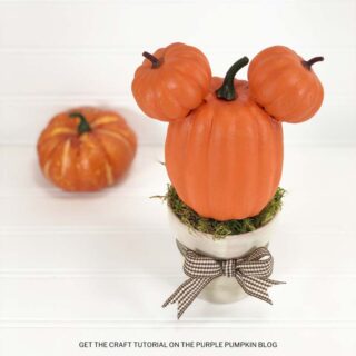 Mickey Mouse Pumpkin Topiary Craft Tutorial